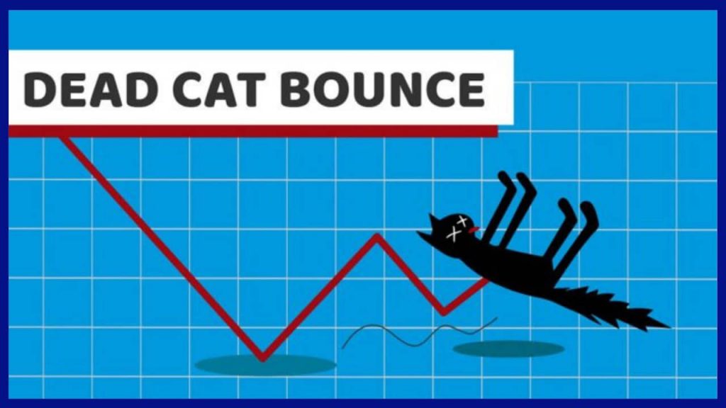 apa itu dead cat bounce dcb